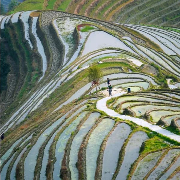 Guilin Longji Tour - Private Rice Terraces Day Trip 4