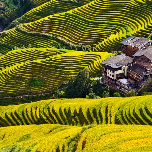 Guilin Longji Tour - Private Rice Terraces Day Trip 5