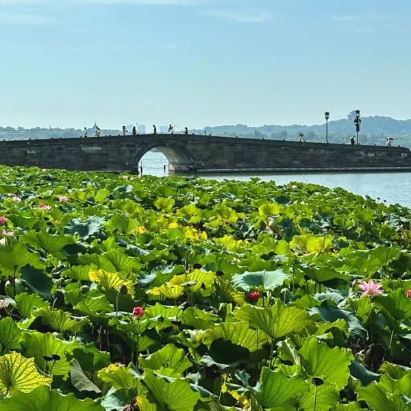 Hangzhou Day Tour: Xixi, West Lake & Hefang 5