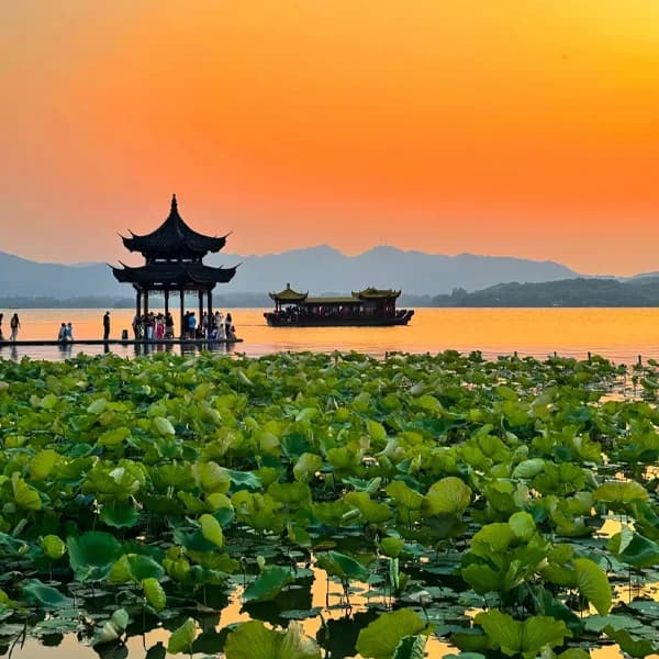 Hangzhou West Lake Tour - Tea Village & Temple Day 5