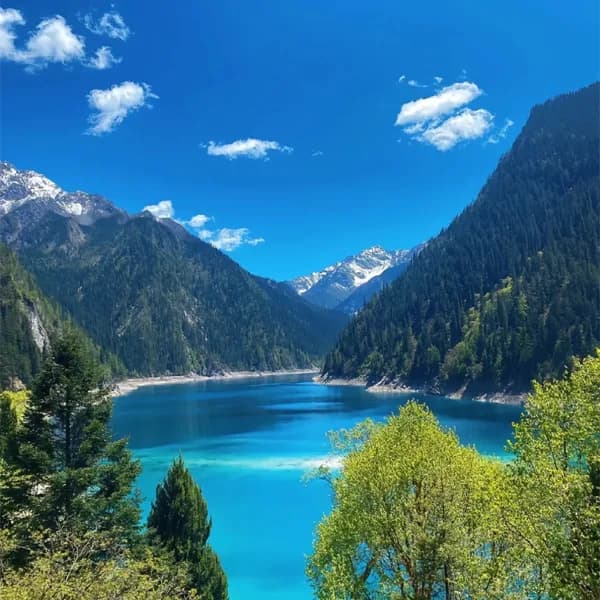 4-Day Chengdu Jiuzhaigou Private Car Charter with Driver 3