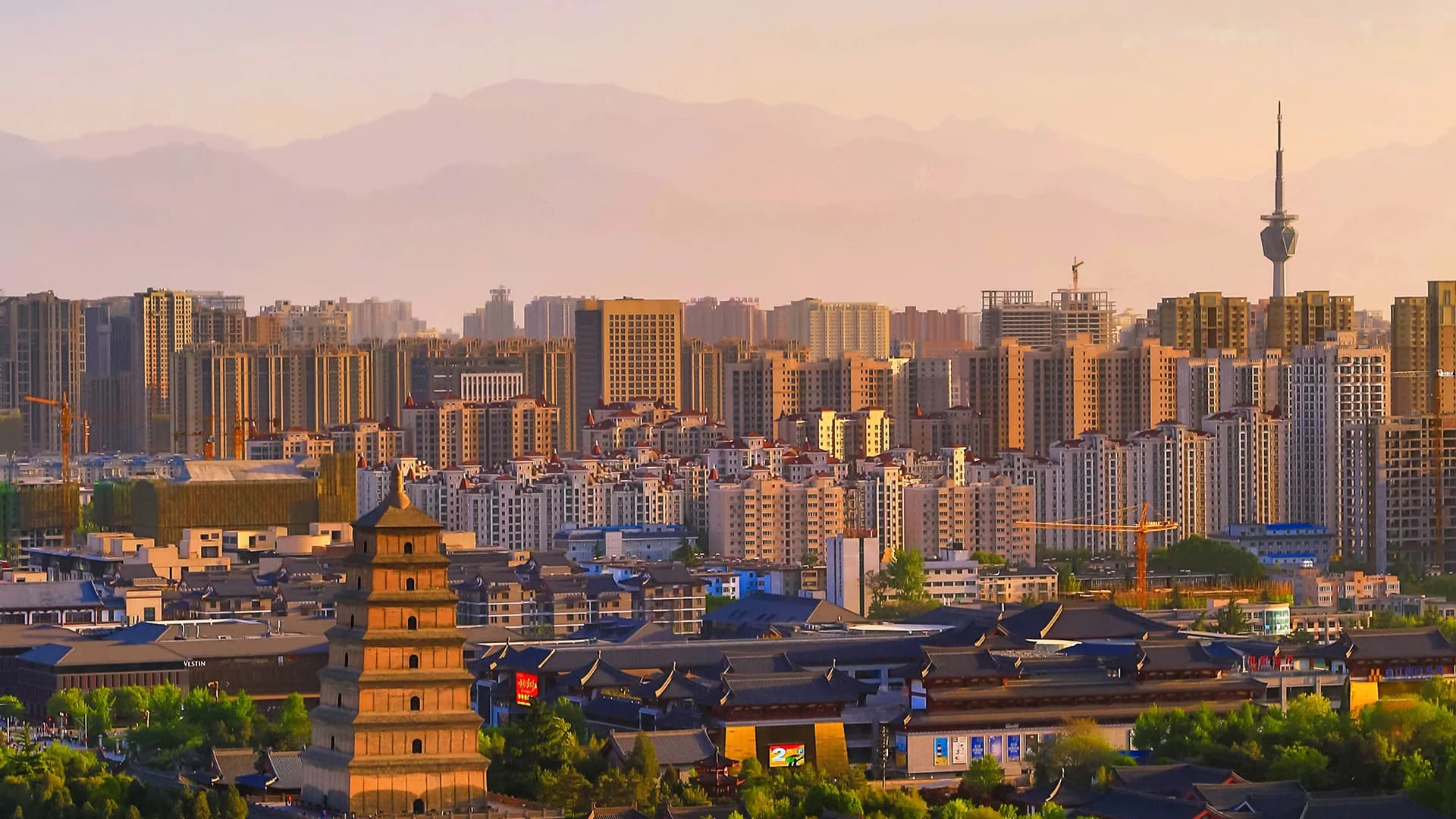 4-Day Xi'an Private Car Charter with Driver 4