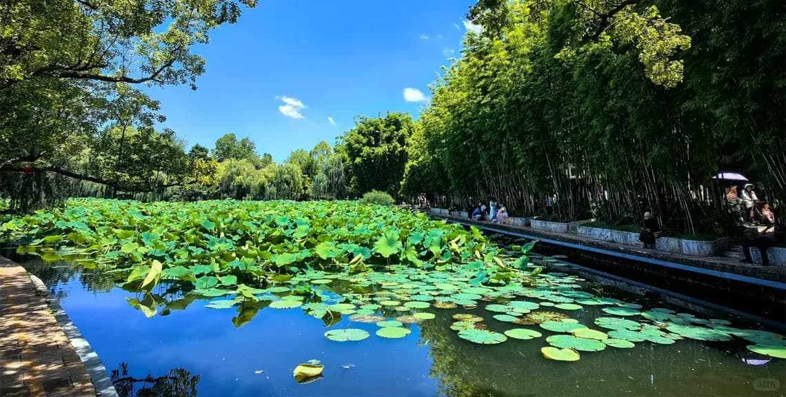 2-Day Kunming Private Car Charter with Driver 2