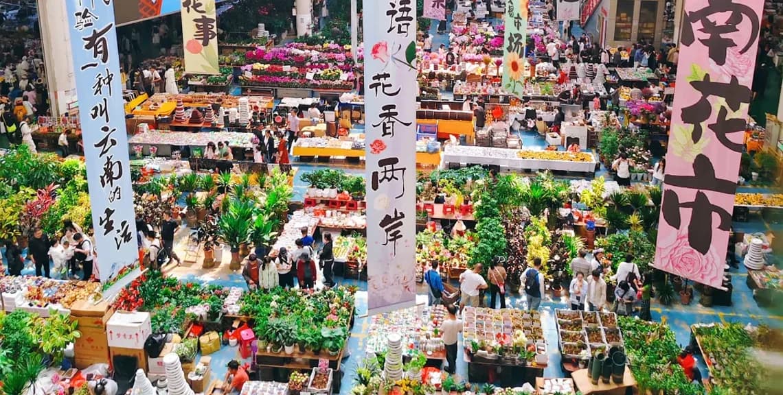 2-Day Kunming Private Car Charter with Driver 4