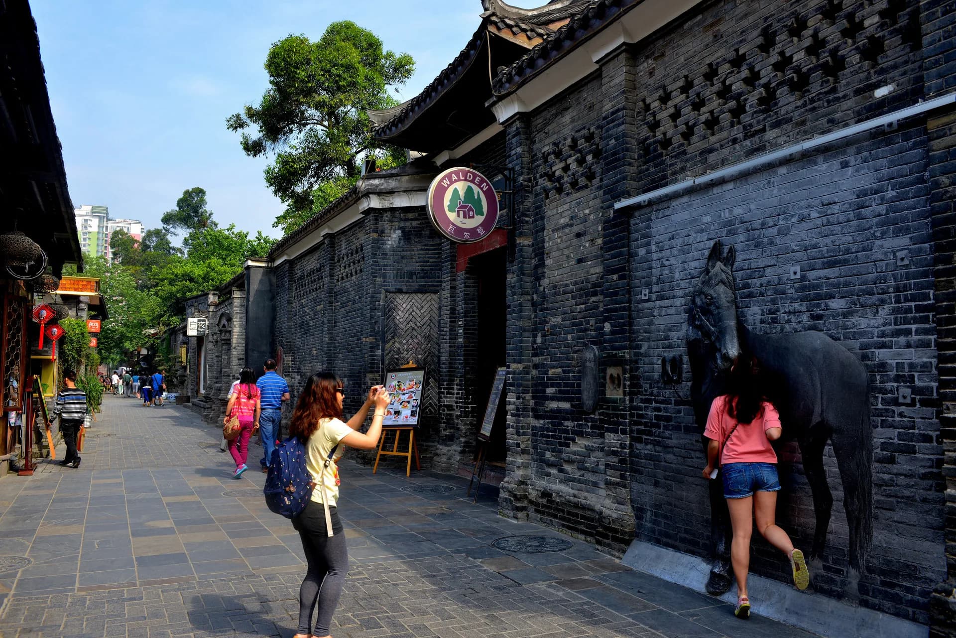 3-Day Chengdu Private Car Charter with Driver 3