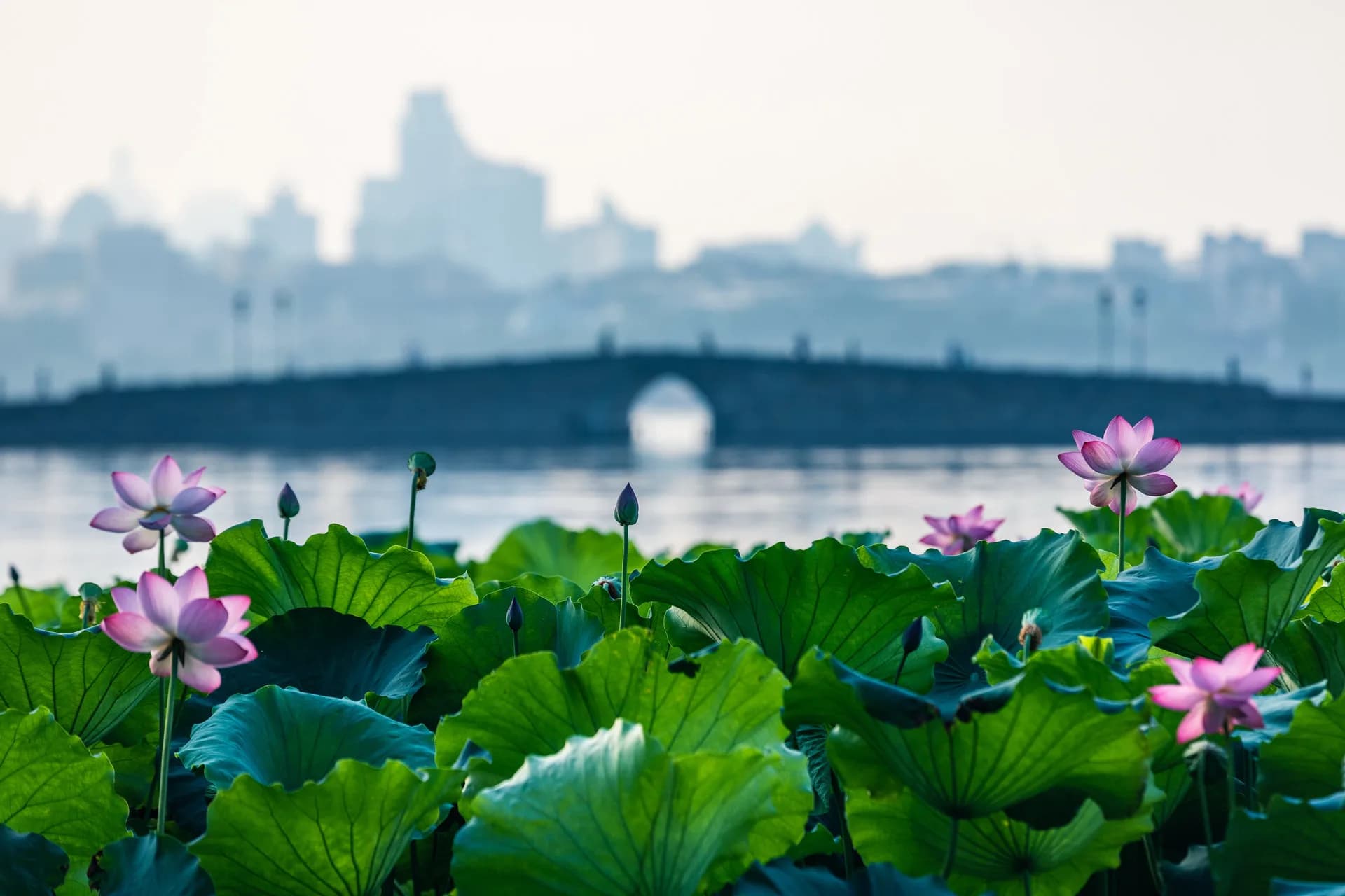 Hangzhou Charter Guide: When It’s Worth It