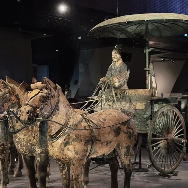 Xi'an Terracotta Warriors Day Tour by Private Car