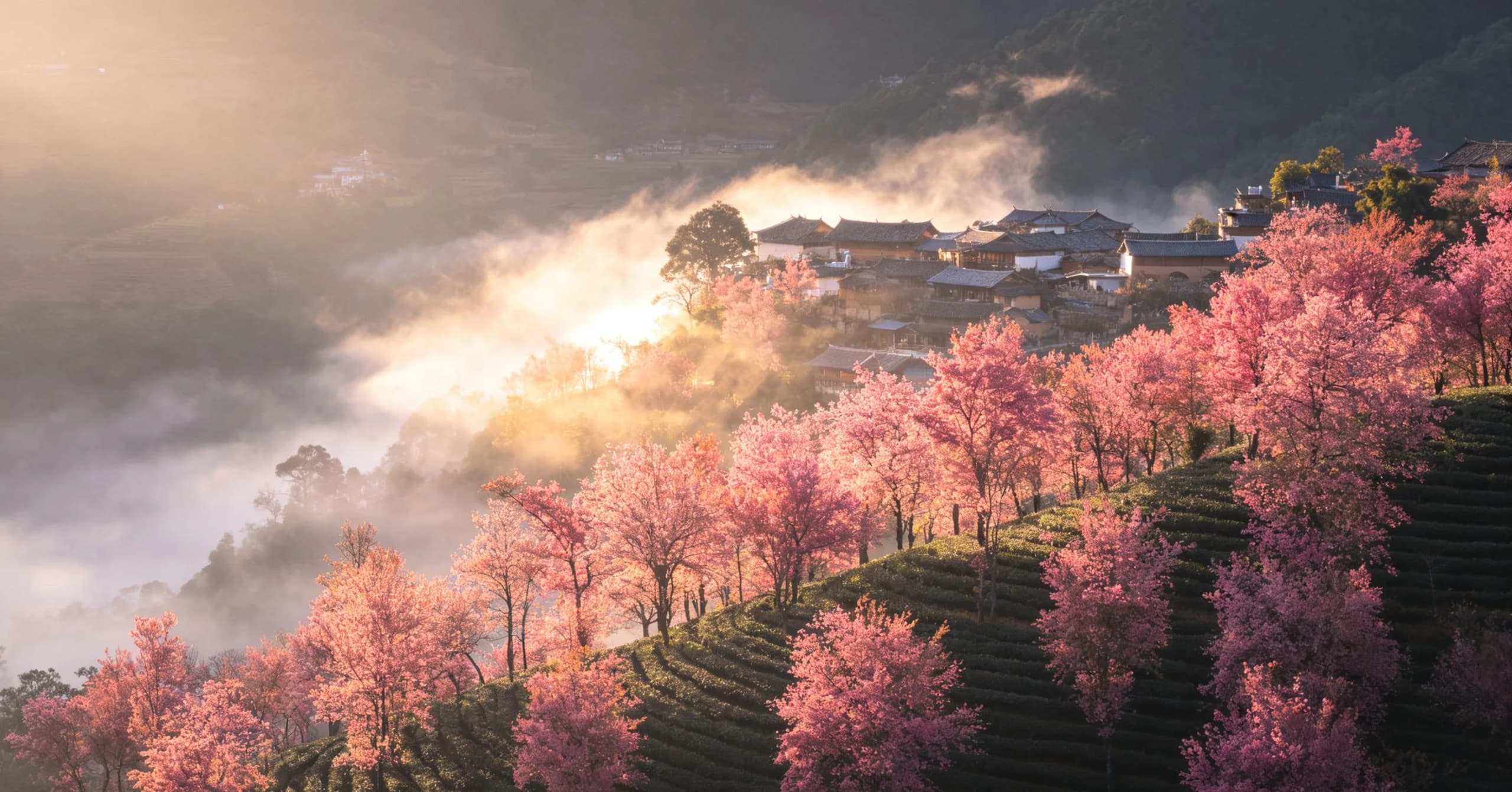 Yunnan Charter Car Guide for Hidden Destinations